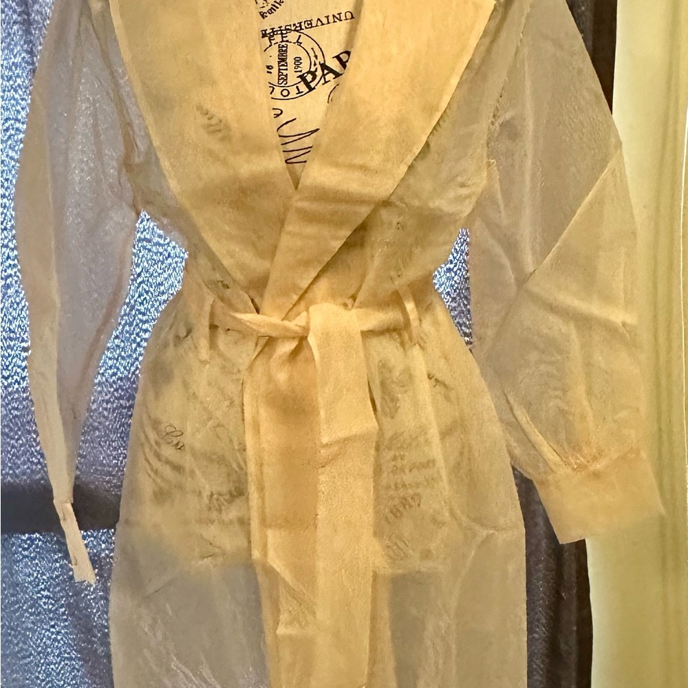 Sheer Organza Cream Trench Coat | Ethereal Layering Essential - Picture 4 of 5
